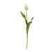 23" Dutch Tulip Artificial Flower (Set of 12)