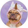 SKYSONIC Round Drink Coasters 1 Pcs French Bulldog Dog Wearing Unicorn Hat Costume Absorbent Ceramic Coaster with Cork Base for Coffee Cups Housewarming Gift for Home Decor