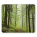 YhbSmt Outdoor Mouse Pad Trail Trough Foggy Alders Beeches Oaks Coniferous Grove Hiking Theme Rectangle Non-Slip Rubber Mousepad Standard Size Yellow Green