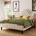 House of Hampton® Innaya Queen Tufted Low Profile Sleigh Bed Wood & /Upholstered/Velvet/Metal & /Metal in Brown | 58 H x 62.2 W x 81.1 D in | Wayfair