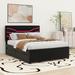 Latitude Run® Nortonview Queen Size Upholstered Storage Platform Bed w/ LED Upholstered, Solid Wood in Black | 44.1 H x 64.2 W x 83.1 D in | Wayfair