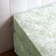 Drap housse percale vert clair 160x200 cm