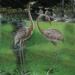 Garden Crane Pair Sculpture Heron Coastal Metal Statues Pond Yard Art
