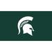 Michigan State Spartans 28" x 16" Turf Mat