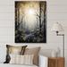 Millwood Pines Forest Tree Monochrome Moonlit Shadows I - Landscape & Nature Wall Art Living Room Canvas in Green | 20 H x 12 W x 1 D in | Wayfair