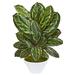 Nearly Natural 26 in. Maranta Artificial Plant in White Vase