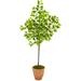 Nearly Natural 67 in. Lemon Artificial Tree in Terra-Cotta Planter