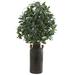 Nearly Natural 31in. Olive with Berries Artificial Plant in Decorative Canister Green