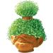 Pet Planter - Flower Plant Seed Trolls World Tour- Garden Indoor Pots