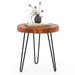 Round End Table Accent Side Table Reclaimed Teak Wood Plant Stand