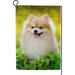 SKYSONIC Cute Pomeranian Dog Sitting in a Park Double-Sided Printed Garden House Sports Flag 12x18in Polyester Decorative Flags for Courtyard Garden Flowerpot