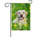 SKYSONIC Garden Flag Labrador Retriever Dog Double-Sided Printed Garden House Sports Flag - 12x18in -Decorative Flags for Courtyard Garden Flowerpot