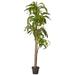 6596 6ft. Dracaena Plant (Real Touch) Green
