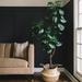 Primrue Faux Fiddle Leaf Fig Tree in Pot Silk/Plastic | 72 H x 7.5 W x 7.5 D in | Wayfair 342CFF70EDC54D11B941D2D9CDA09237