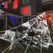 The Holiday Aisle® Halloween Spider Decoration Kit w/ Spider Web in Black | 59 W in | Wayfair E58D3AC355334FB1944C95ABD74F8FC4