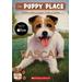 The Puppy Place #4: Rascal (paperback) - by Ellen Miles