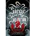 Siege and Storm (paperback) - by Leigh Bardugo