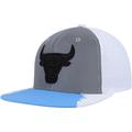 Mitchell & Ness Chicago Bulls Day 5 Snapback-Mütze in Silber/Blau für Herren