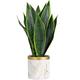 Briful Fake Snake Plant 16" Faux Potted Plant Artificial Snake Plant with White Ceramic Pot Sansevieria Plant Perfect for House Modern Living Room Office Housewarming Gift Indoor Decor