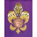 Carolines Treasures Tiger Soccer Fleur de lis Garden Size Flag