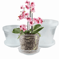 Orchid Pot 6 Pack Orchid Pots with Holes and Saucers 2 Each of 4.8 Inch 5.5 Inch 7inch Clear Orchid Pots for Repotting Plastic Flower Plant Pot Indoor Outdoor Breathable Slotted Orchids Planter