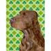 Carolines Treasures Field Spaniel St. Patricks Day Shamrock Portrait Flag Canvas House Size