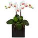 Double Mini Phalaenopsis Silk Orchid in Black Vase