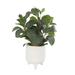 Freeport Park® Iniguez 14.15" Faux Foliage Plant in Pot Ceramic/Plastic | 14.15 H x 10.15 W x 8.1 D in | Wayfair FED6A875EF534E53B3BC5AEE3AA84238