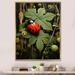 Ebern Designs Ladybug Ladybugs Leisure Framed On Canvas Print Metal in Brown/Green/Red | 32 H x 24 W x 1 D in | Wayfair