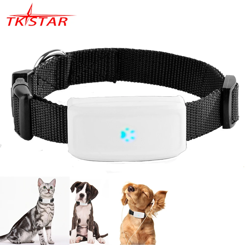 2G GSM GPS Tracker Pet TK911 GPS localisateur TKSTAR Mini GPS animaux Tracker 2G GSM meilleur chien GPS Tracker avec application gratuite étanche IP67