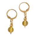 Ancient Orbs,'Gold Plated Natural Amber Dangle Earrings from Mexico'