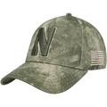 Men's Under Armour Camo Northwestern Wildcats Blitzing Performance Adjustable Hat