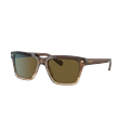 Vogue Eyewear Man Sunglass VO5404S - Frame color: Gradient Brown, Lens color: Dark Brown