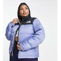 The North Face Plus 1996 Retro Nuptse down jacket in blue