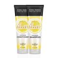 John Frieda Sheer Blonde Go Blonder Lightening Shampoo and Conditioner, New 8.3 Fluid Ounce