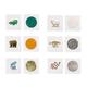 Playlearn 12X Interactive Animal Texture Learning Set for Guess the Animal Game-Double Sided Animal Match Tactile Educational Resource Explore Textures&Colours-Perfect Animal Lover Gifts for Kids