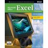 Microsoft Office Excel 2003: A Professional Approach, Comprehensive Student Edition W/ CD-ROM