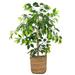 4-Foot Artificial Ficus Tree in Handled Basket