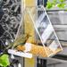 Teissuly Clear Bird Feeders - Exquisite Triangle Bird Feeder Courtyard Hanging and Window Bird Feeder with Suction Cup Squirrel Proof Birds Feeder and Garden Decoration Yard for Bird Watchers