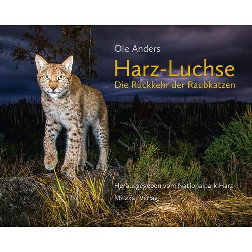 Harz-Luchse Die Rückkehr Der Raubkatzen - Ole Anders, Gebunden