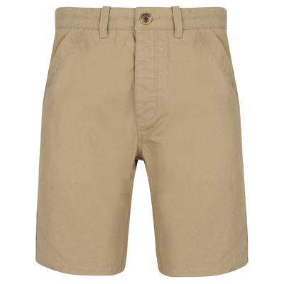 Shorts Ginak Essential Cotton Twill Chino Shorts in Chinchilla Stone / S - Tokyo Laundry