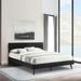 Petra Black Wood King or Queen Platform Bed Frame with Headboard