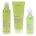 Aveda Be Curly Shampoo 8.5 oz Be Curly Conditioner 6.7 oz & Be Curly Style Prep 3.4 oz Combo Pack