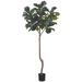 Primrue Rincon 7' Faux Fiddle Leaf Fig Tree in Liner Plastic/Polysilk | 84 H x 24 W x 24 D in | Wayfair 92776ABEBCA949EAA51863AC4A414757