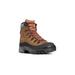 Danner Crater Rim GTX Hiking Boot - Women's Brown Medium 5 US