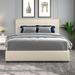 Vera Velvet Upholstered Platform Bed with 4 Storage Drawers and Square Stitched Button Tufted Headboard