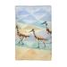 Highland Dunes Geometric Sandpipers Kitchen Towel Terry in Blue/Brown/Gray | 25 H x 16 W in | Wayfair 8DBD4142A7DF47A5B985D7E23A2E0F2F