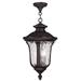 3 Light Outdoor Pendant Lantern in Traditional Style 11 inches Wide By 20.5 inches High-Bronze Finish Bailey Street Home 218-Bel-4432511