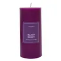 Dark Purple Blackberry Pillar Candle, Large