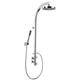 Triton Felice Rear Fed Chrome Mixer Shower Pole